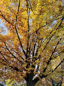 IMG_20261015_091452
